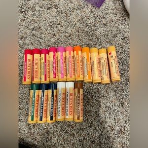 all unopened burt’s bees chapsticks!